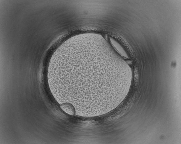 X0000116610396201001081215