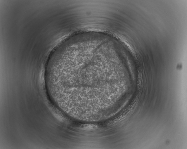 X0000116610398201001081215