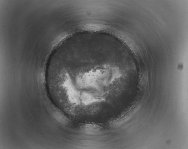 X0000116610399201001081215