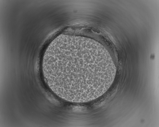 X0000116610400201001081215