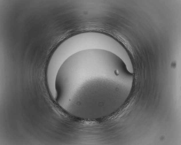 X0000116610401201001081215