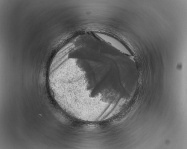 X0000116610402201001081215