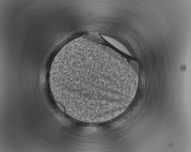 X0000116610404201001081215