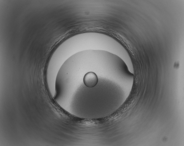 X0000116610405201001081215