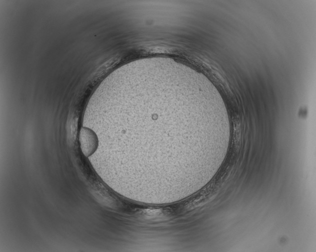 X0000116610406201001081215