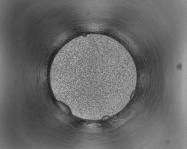 X0000116610407201001081215