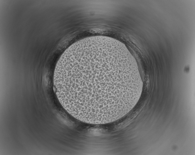 X0000116610408201001081215