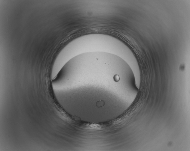 X0000116610409201001081215