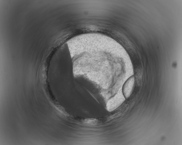 X0000116610410201001081215