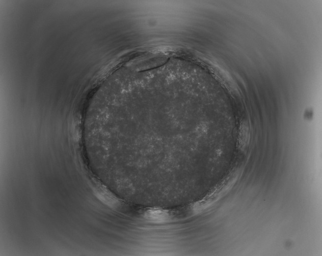 X0000116610413201001081215