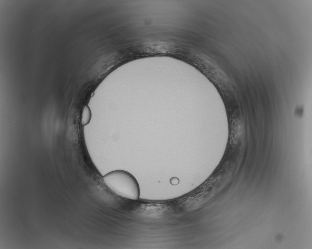 X0000116610414201001081215