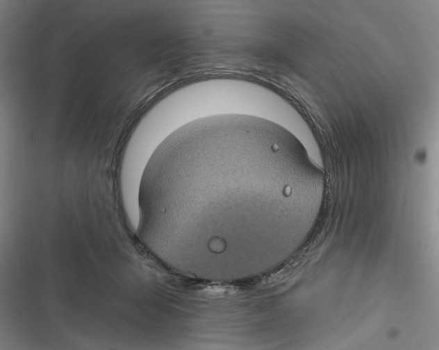 X0000116610415201001081215