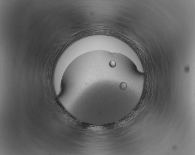 X0000116610417201001081215