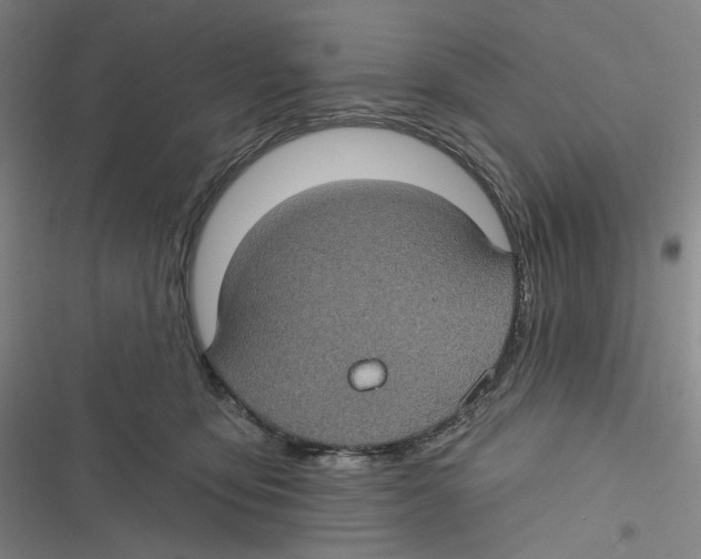 X0000116610419201001081215