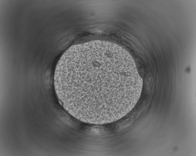 X0000116610420201001081215