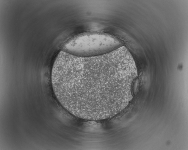 X0000116610421201001081215