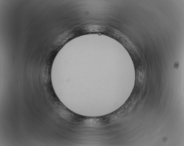 X0000116610422201001081215