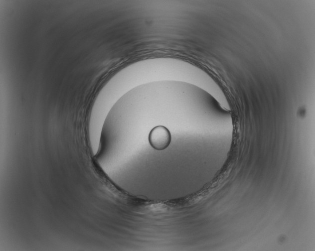 X0000116610423201001081215