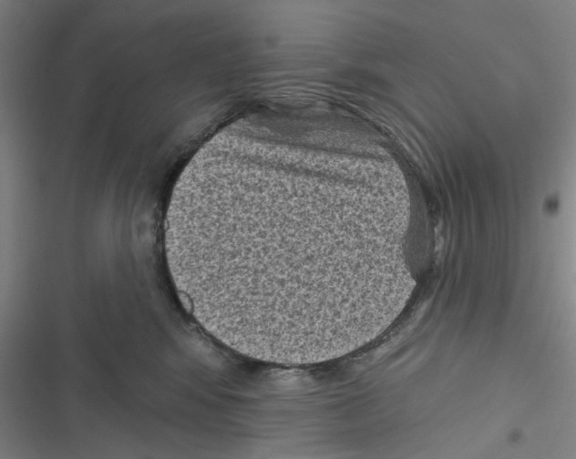 X0000116610424201001081215