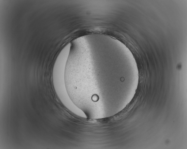 X0000116610425201001081215