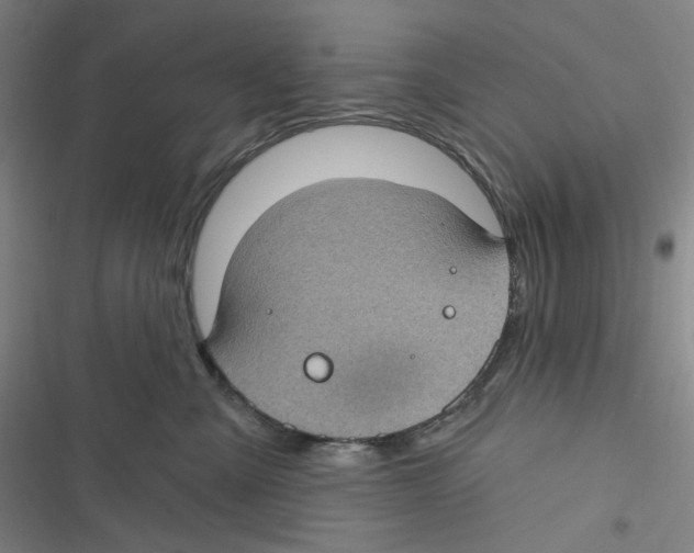 X0000116610427201001081215