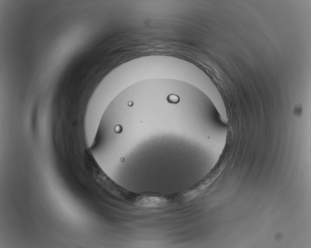 X0000116610429201001081215