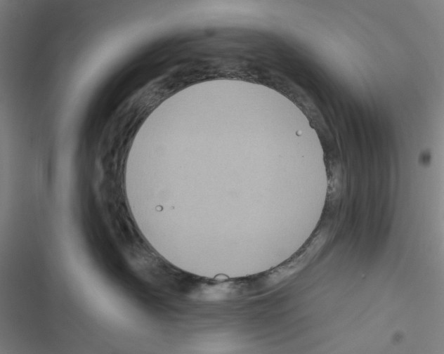 X0000116610430201001081214