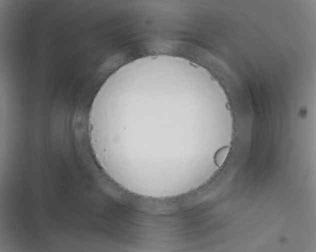 X0000116610431201001081214