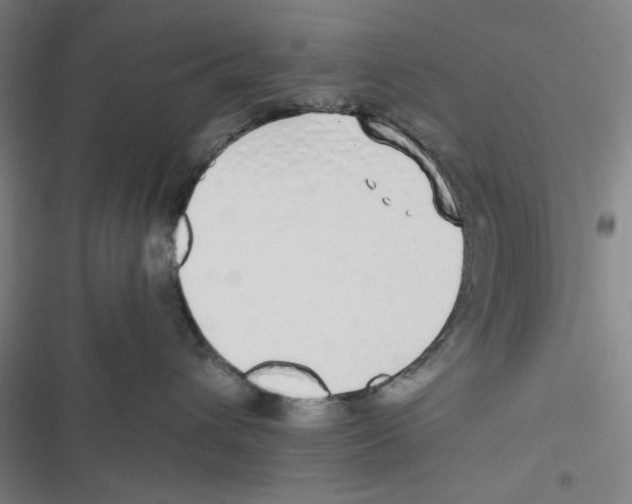 X0000116610432201001081214