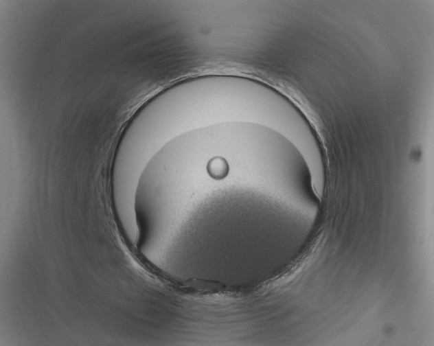 X0000116610433201001081214