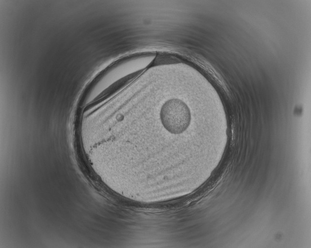 X0000116610436201001081214