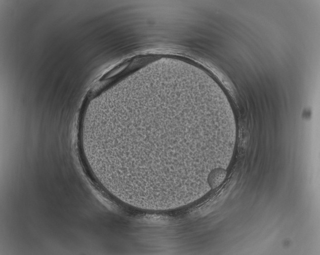 X0000116610437201001081214