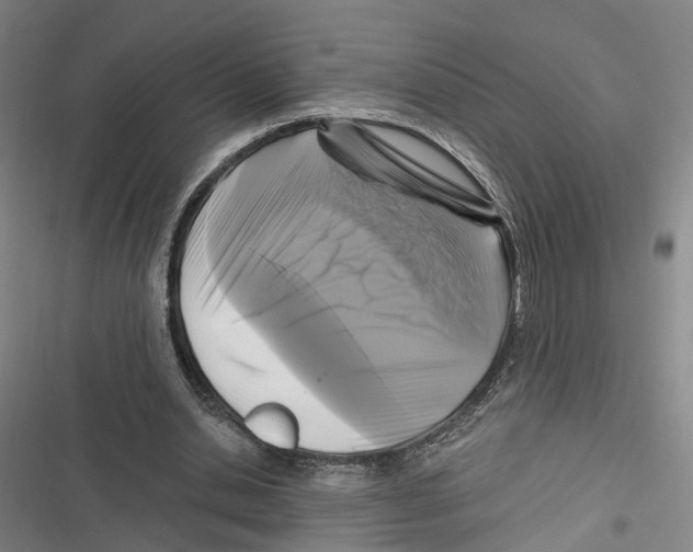 X0000116610438201001081214