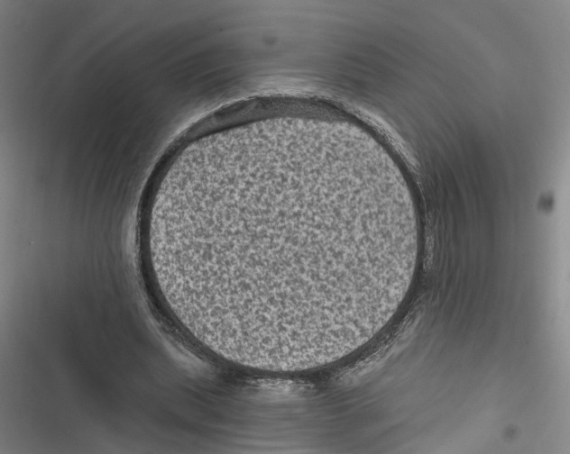 X0000116610439201001081214