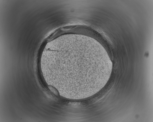 X0000116610440201001081214