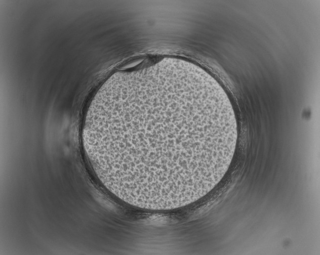 X0000116610441201001081214