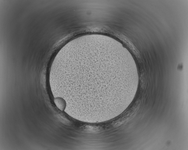 X0000116610442201001081214