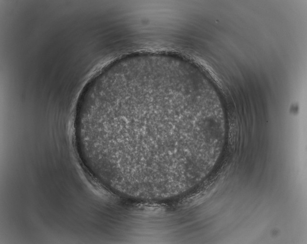 X0000116610443201001081214