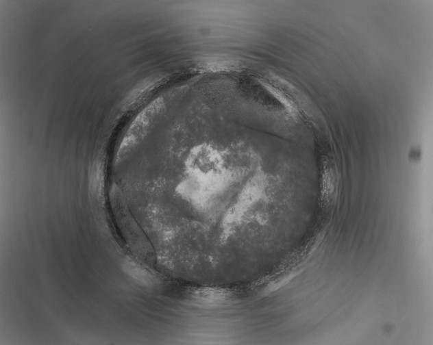 X0000116610444201001081214