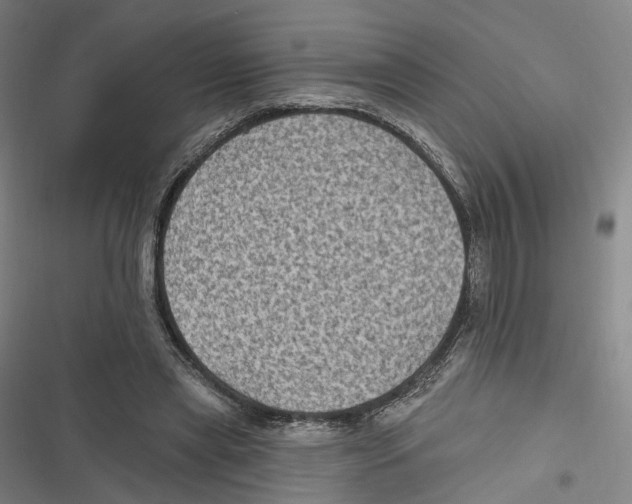 X0000116610445201001081214