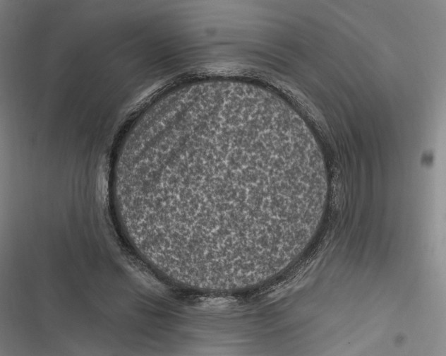 X0000116610446201001081214