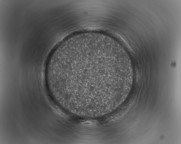 X0000116610447201001081214