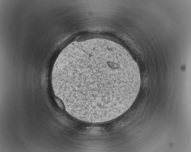 X0000116610448201001081214