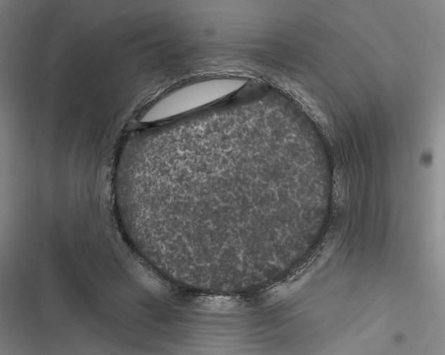 X0000116610449201001081214