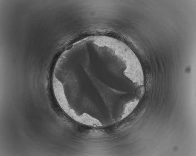 X0000116610451201001081214