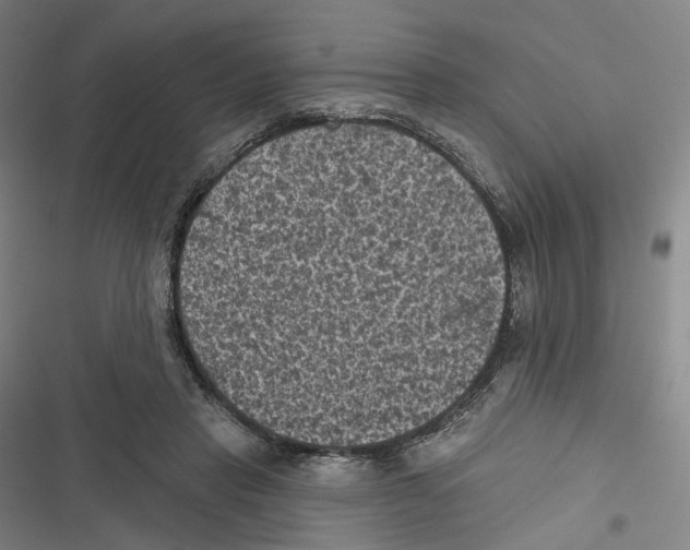 X0000116610453201001081214