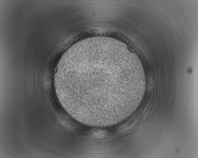 X0000116610456201001081214