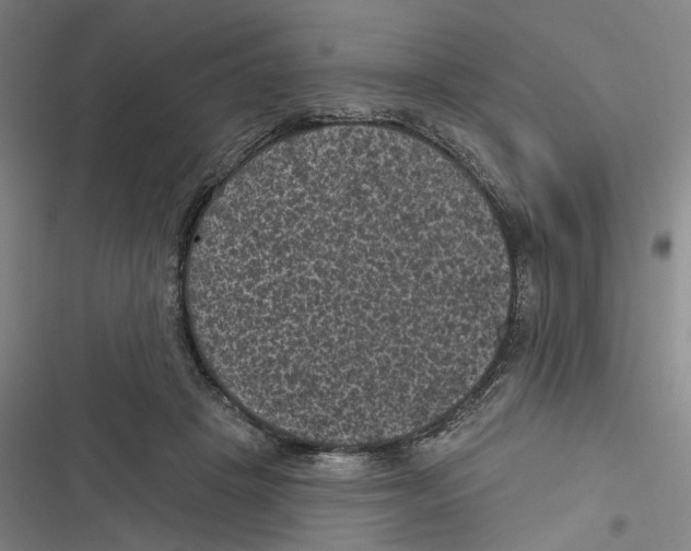 X0000116610457201001081214