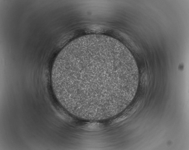 X0000116610459201001081214