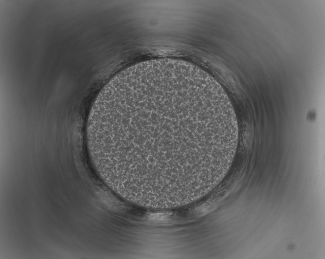 X0000116610461201001081214